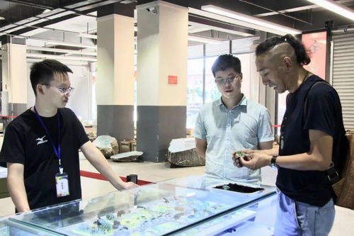 天然翡翠交流中心 聚宝谷翡翠公盘与文化艺术的完美融合